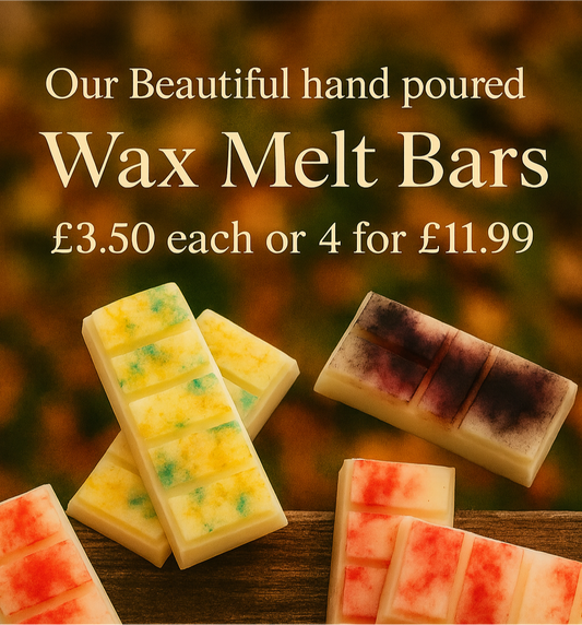 Autumn 🍂 Wax melt bars