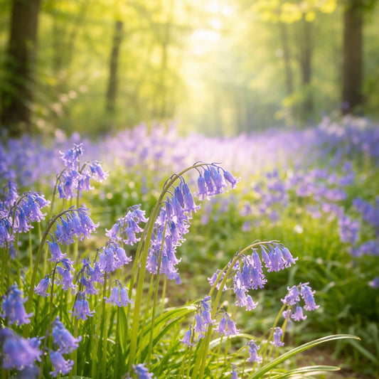 Spring Scents Pick & Mix